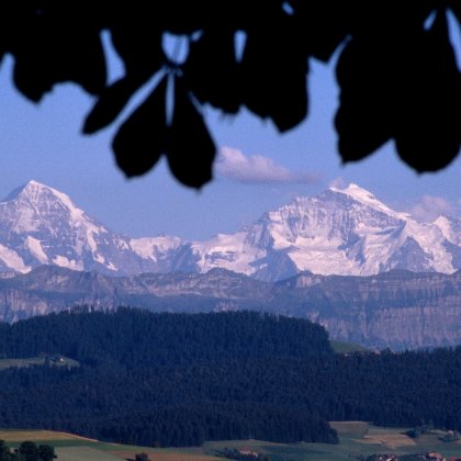 Alpenpanorama