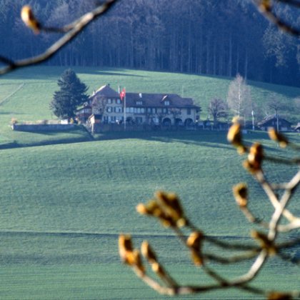 Bühl von gegenüber
